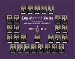 Phi Gamma Delta Composite